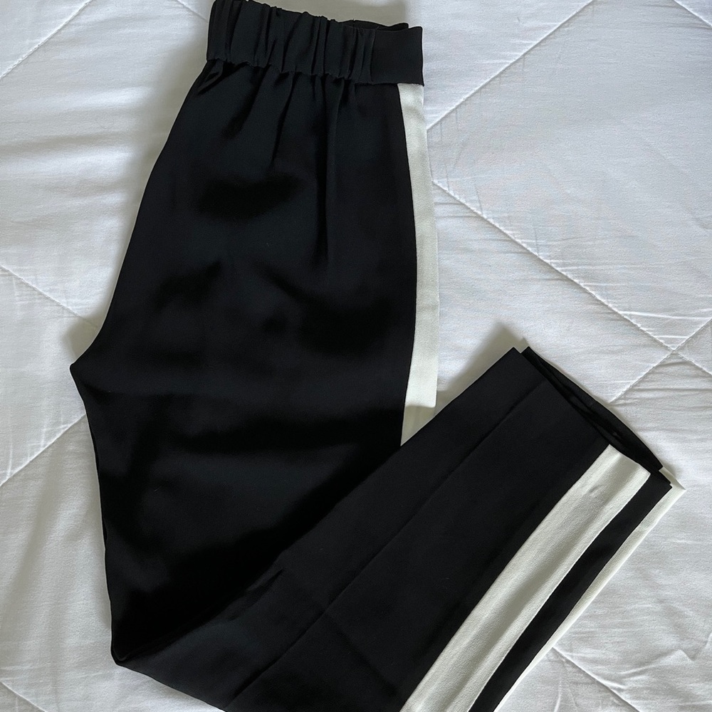 Aritzia Babaton Conan Pants